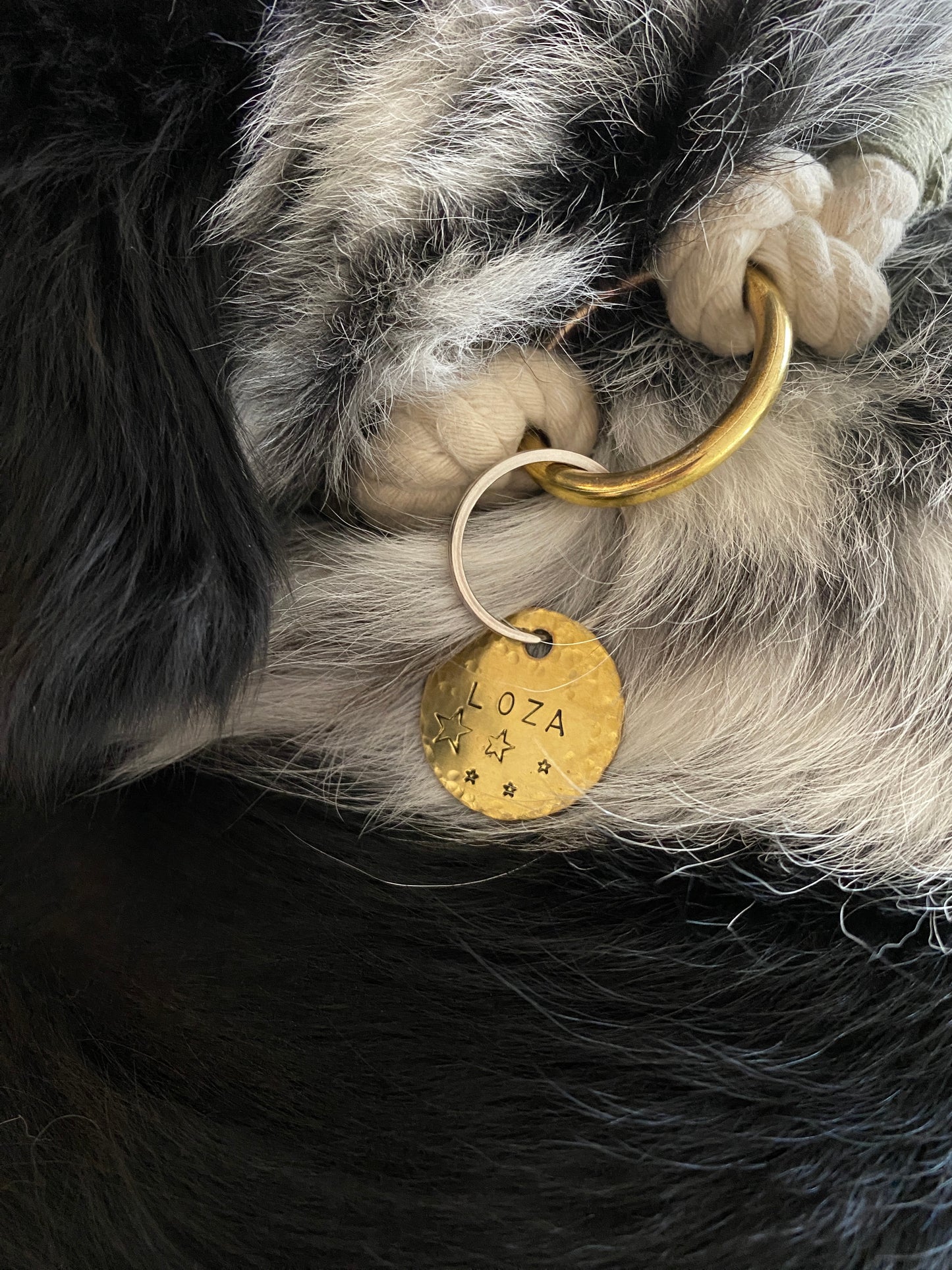 Star Dust Tag