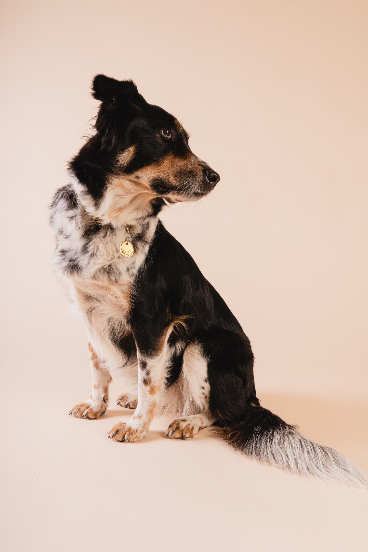 authentication background