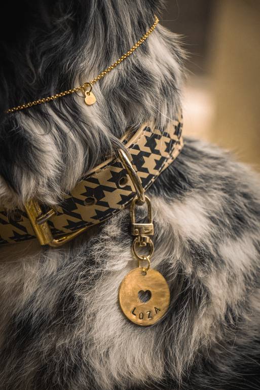 Love Bound pet tag & heart charm