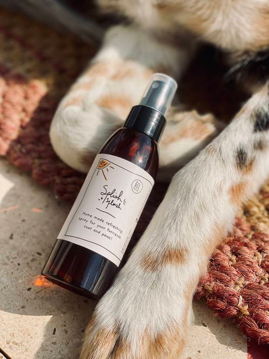 Coat & paws refreshing spray