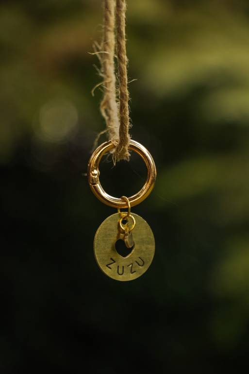 Love Bound pet tag & heart charm