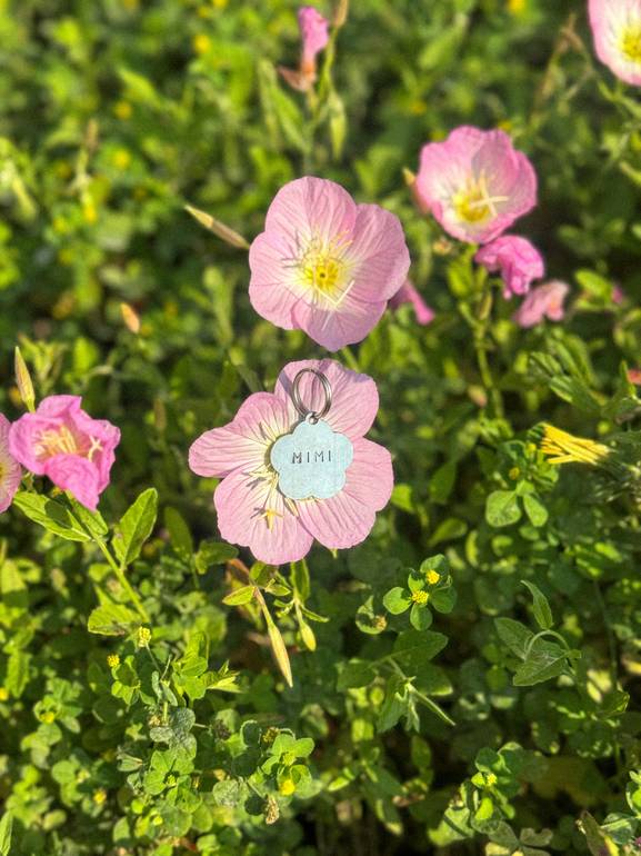 Spring Bloom pet tag
