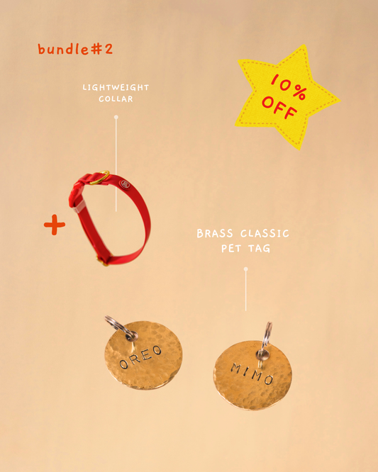 Collar + Pet tag bundle