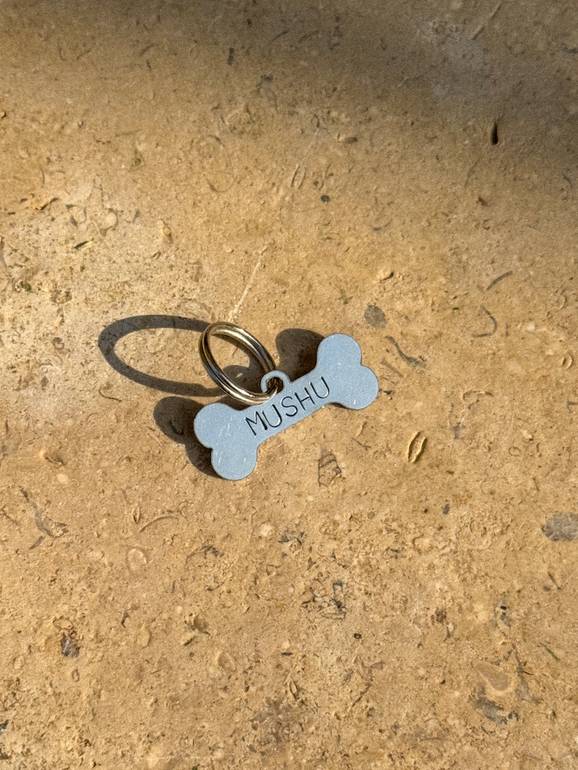 Mini Bone Pet Tag