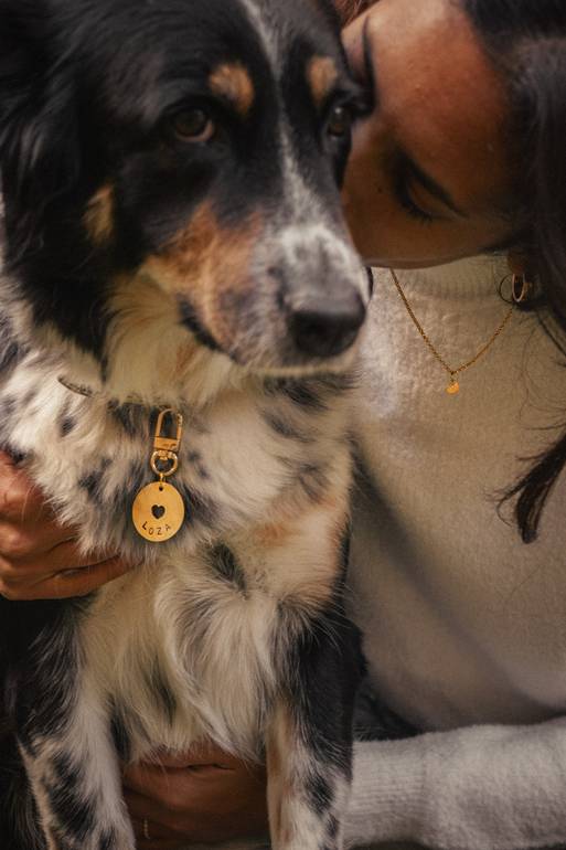 Love Bound pet tag & heart charm
