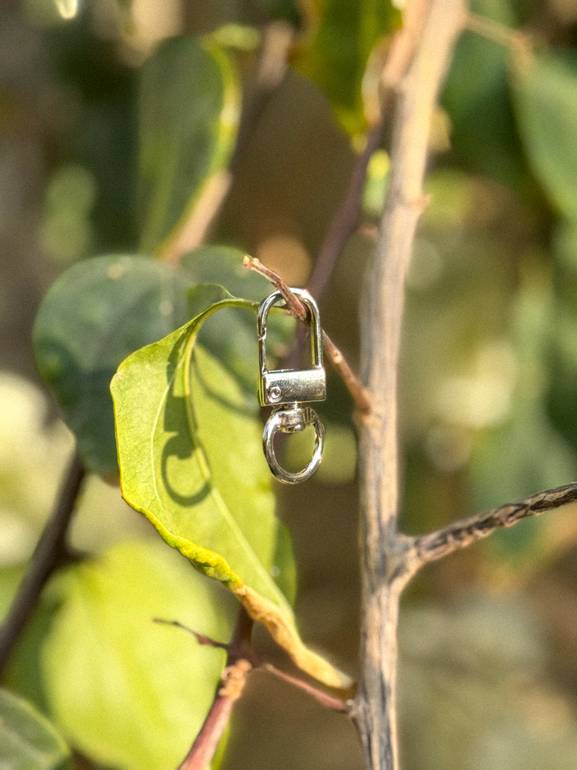 Swivel Hook