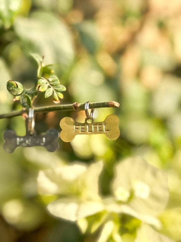 Mini Bone Pet Tag