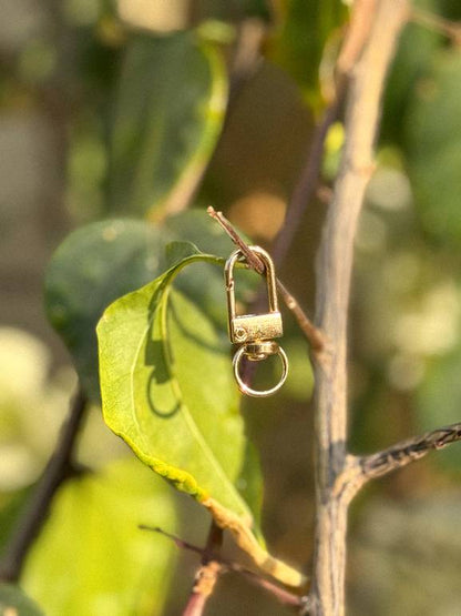 Swivel Hook