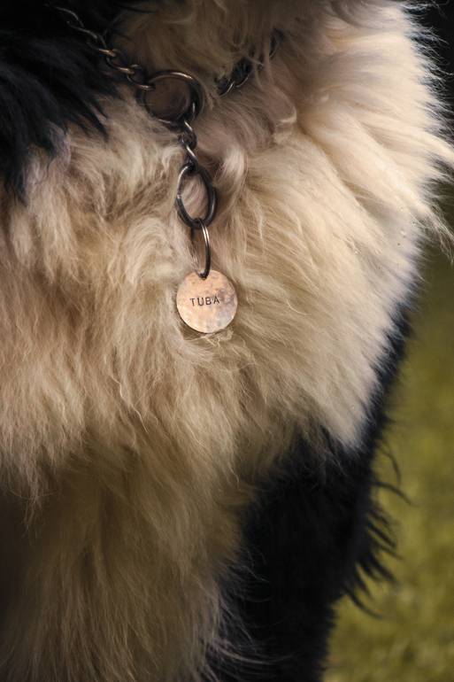 Stainless Steel Classic tag