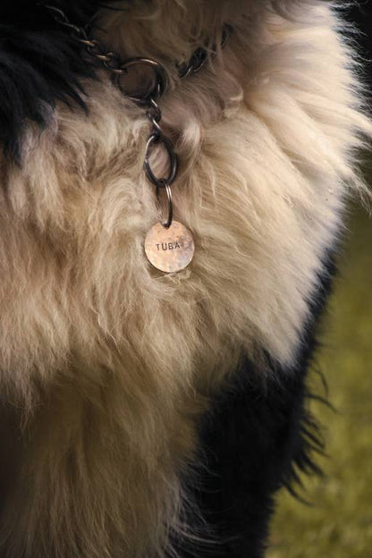 Stainless Steel Classic tag