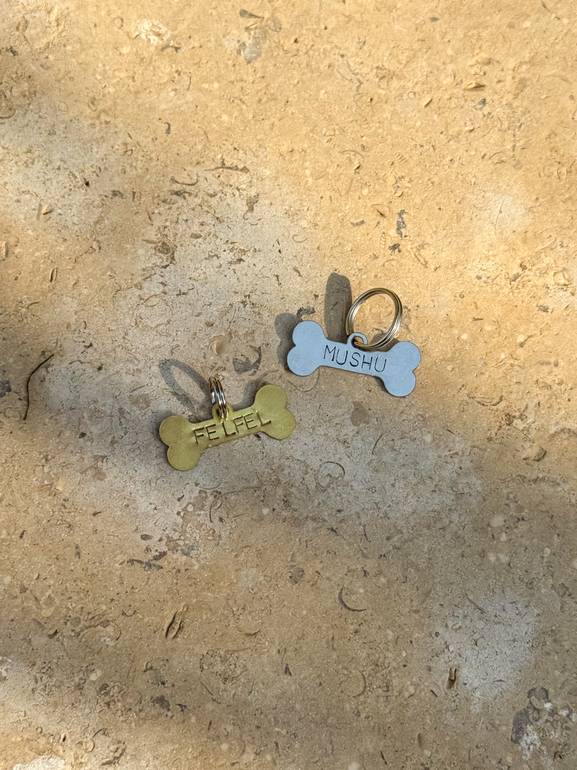 Mini Bone Pet Tag
