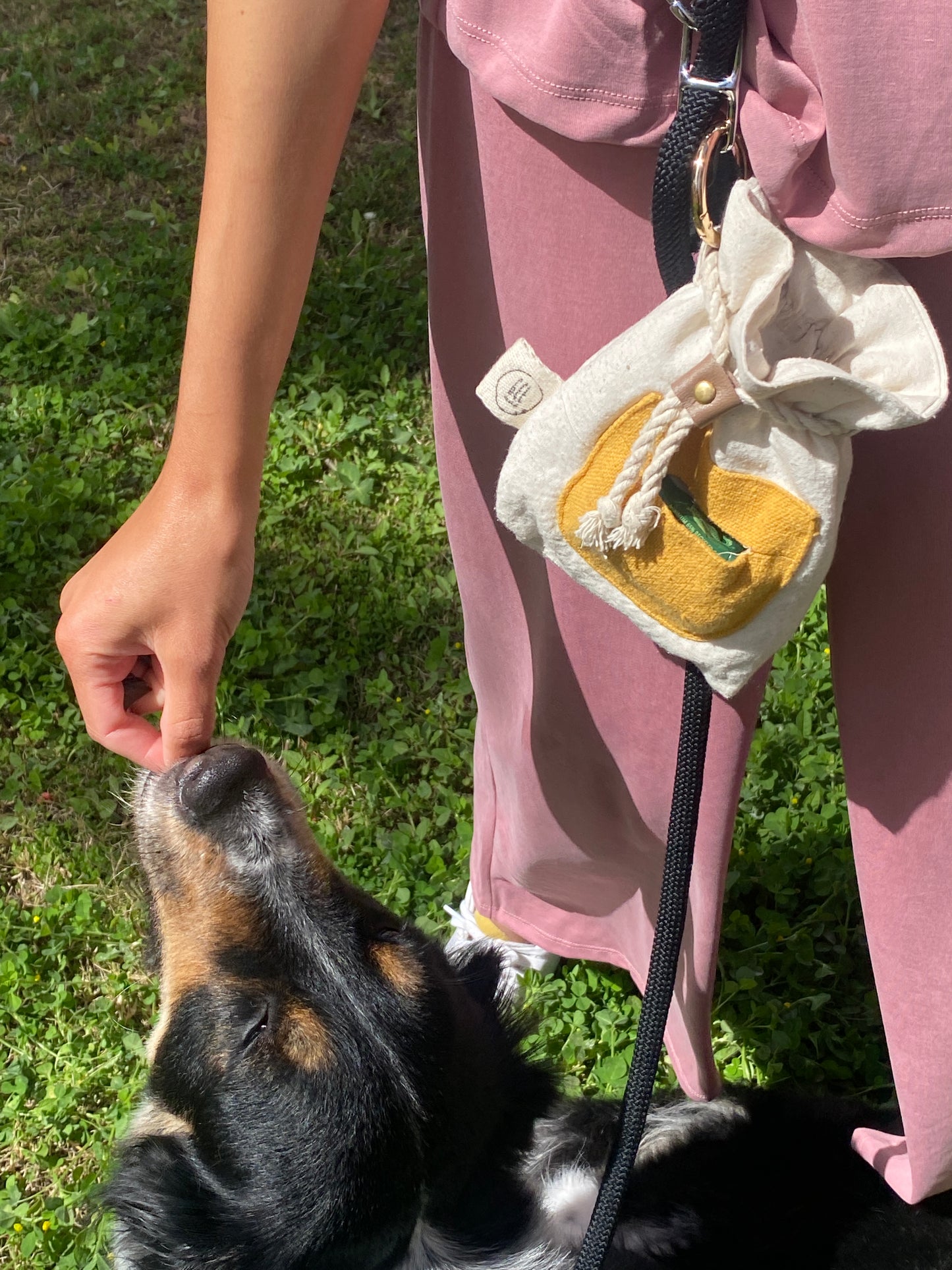 Treat & Poo pouch!
