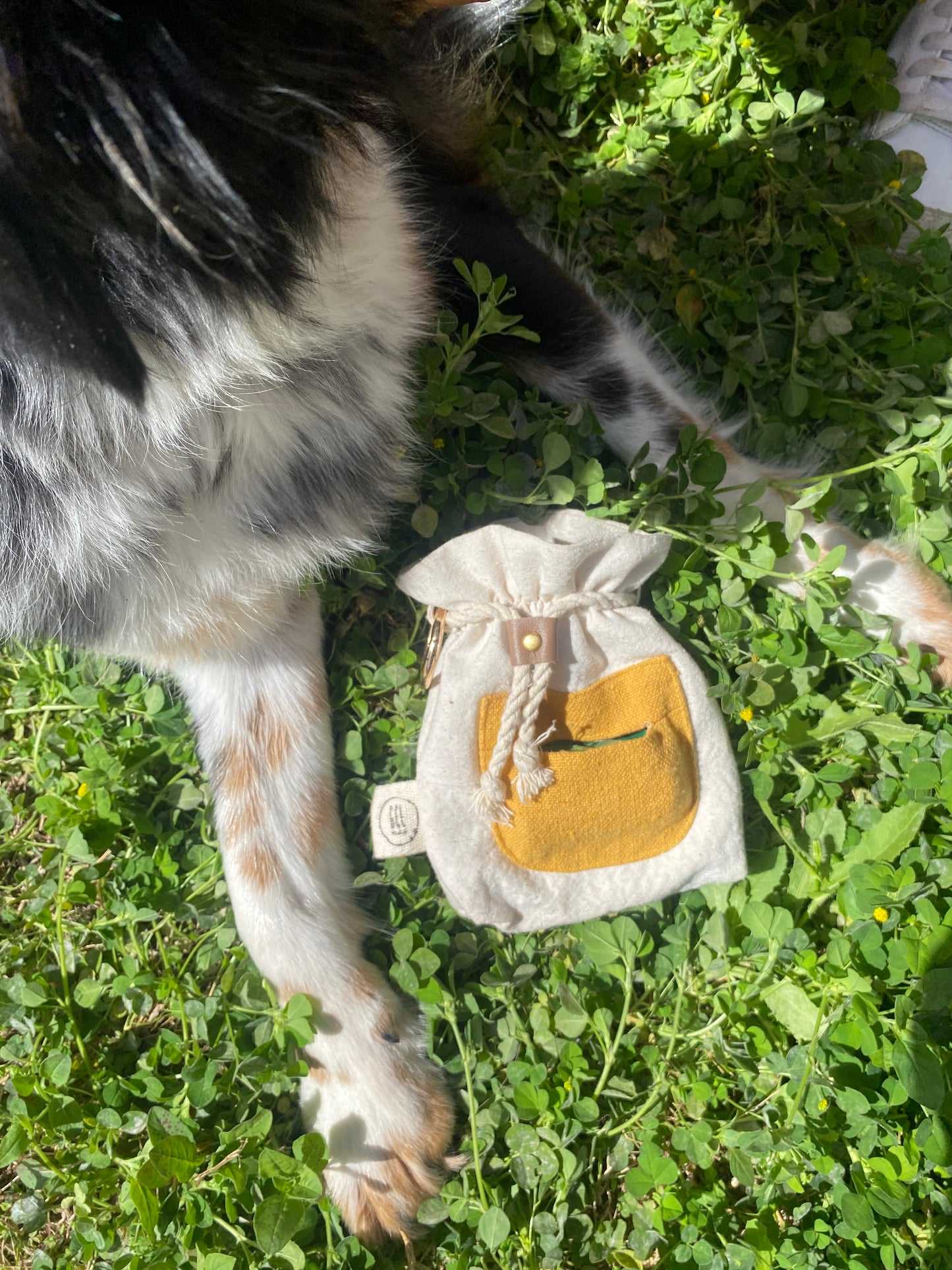 Treat & Poo pouch!