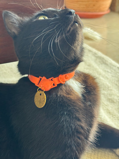 Essential Cat Collar