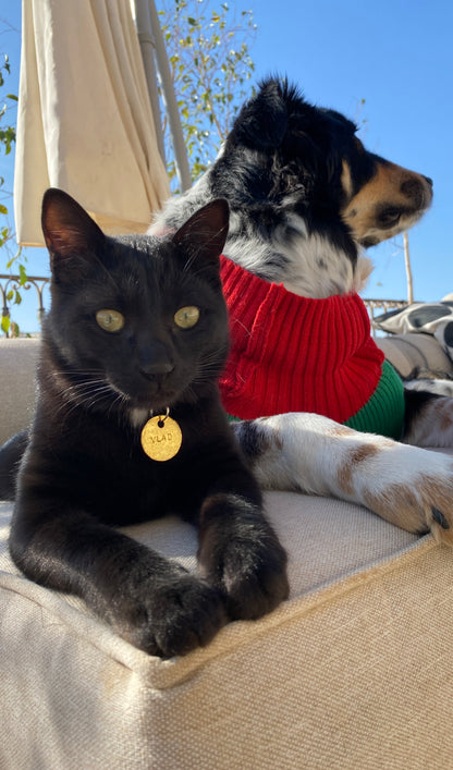 Collar + Pet tag bundle