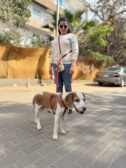 Dog Walking Essentials bundle
