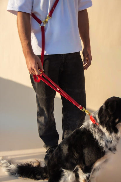 Dog Walking Essentials bundle