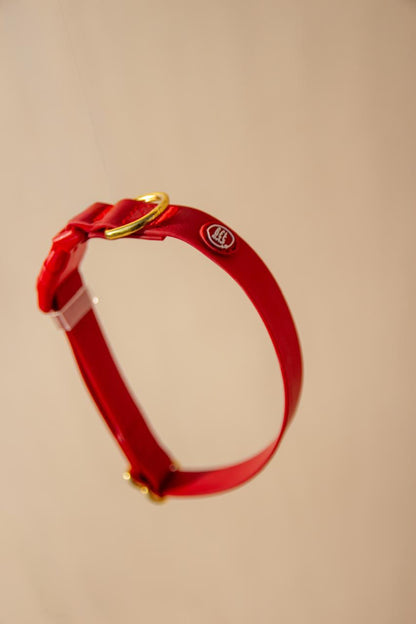Collar + Pet tag bundle