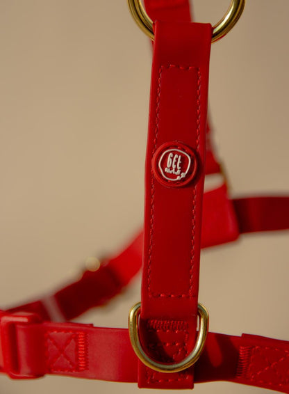 Essential Dog Harness