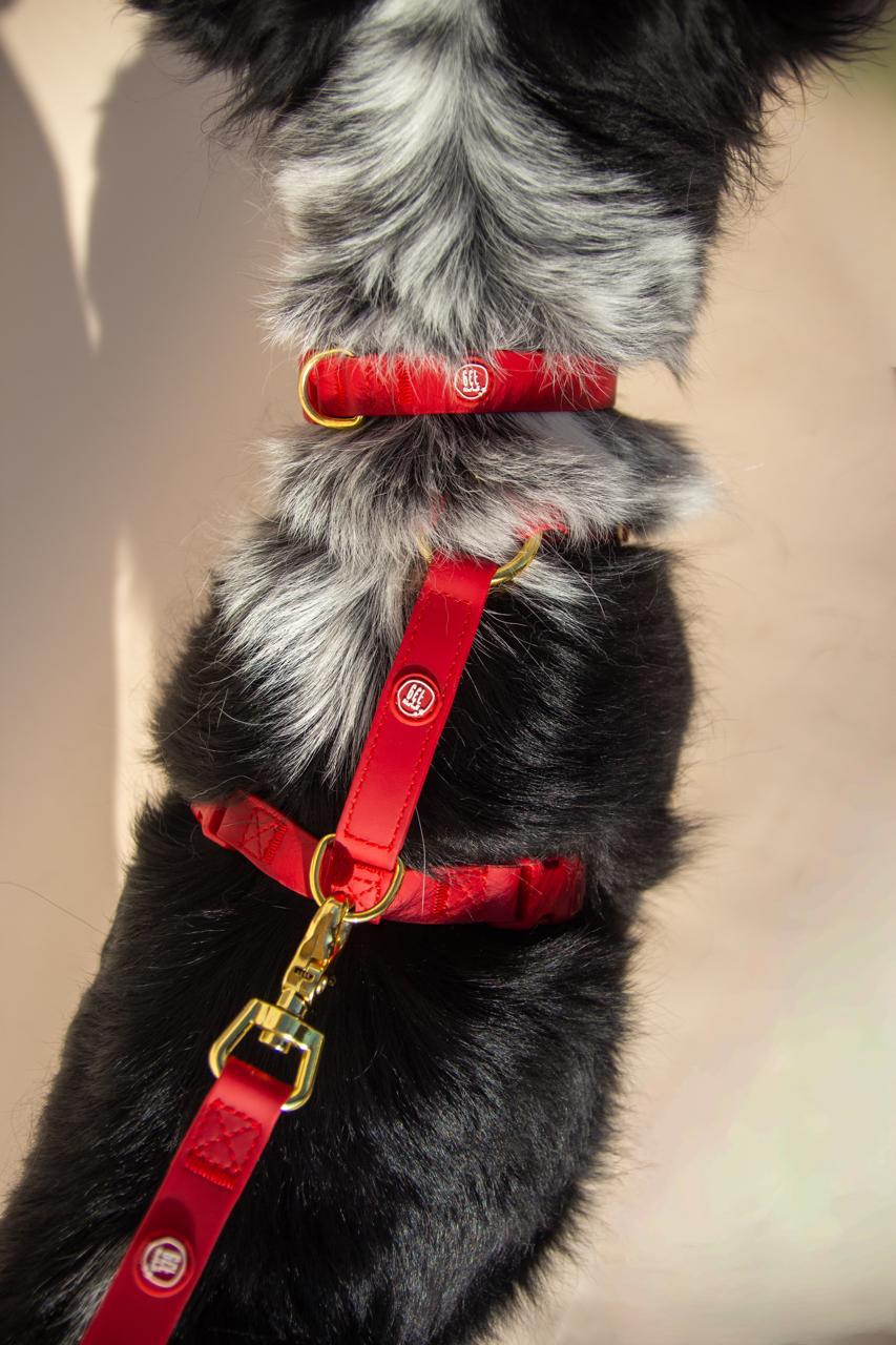 Dog Walking Essentials bundle