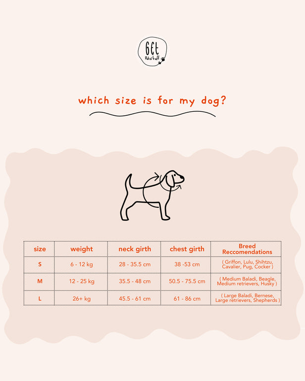 Harness + Hands-free leash bundle