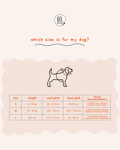 Harness + Hands-free leash bundle