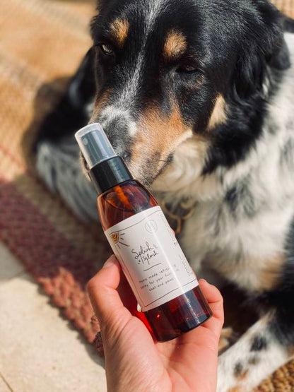 Coat & paws refreshing spray