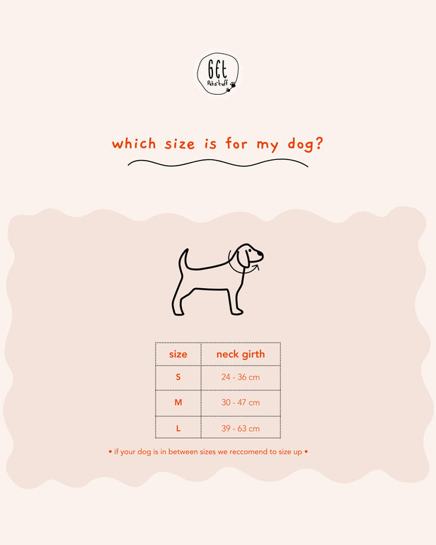 Collar + Pet tag bundle