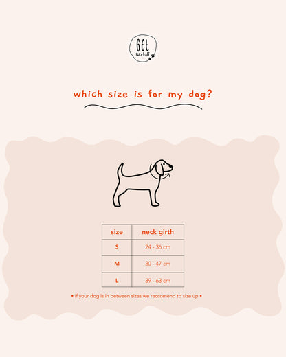 Collar + Pet tag bundle