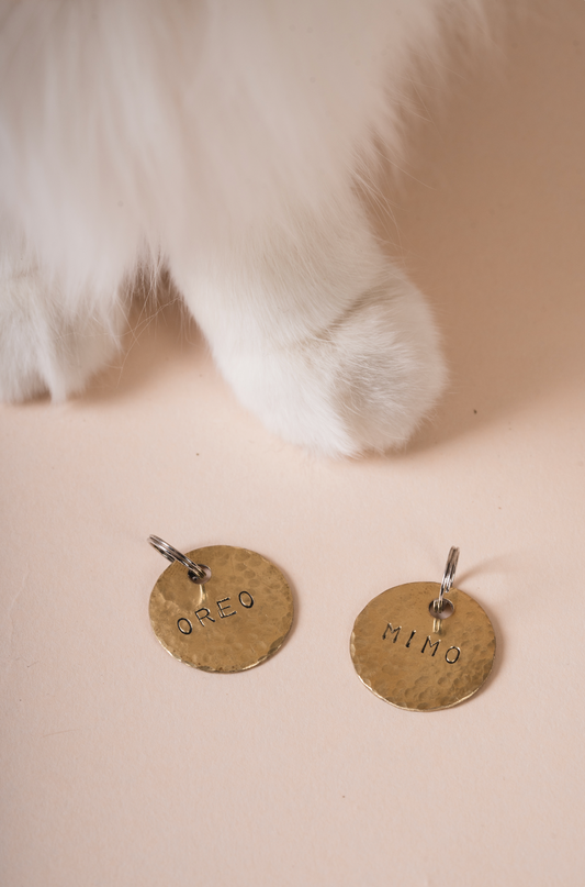 Brass Classic Tag